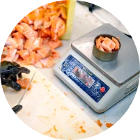 Hand canning salmon